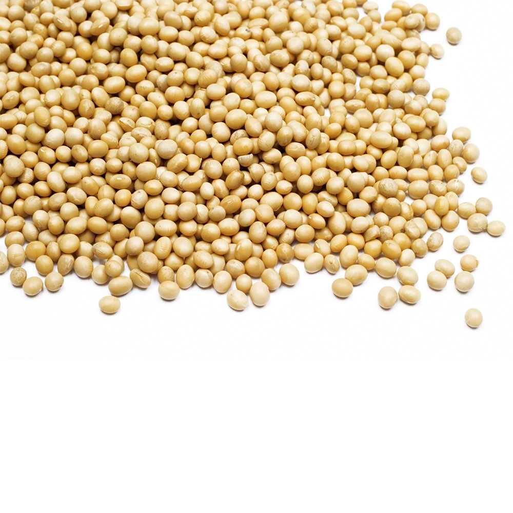 Soyabean view